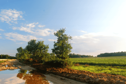 The Long-Term Environmental Impact of Industrial Agriculture on Soil and Water Quality