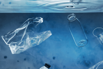An In-Depth Analysis of Plastic Waste Management Policies Around the World