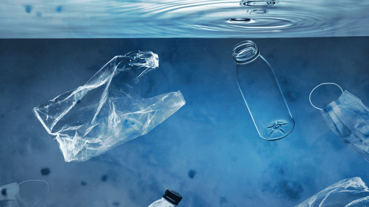 An In-Depth Analysis of Plastic Waste Management Policies Around the World