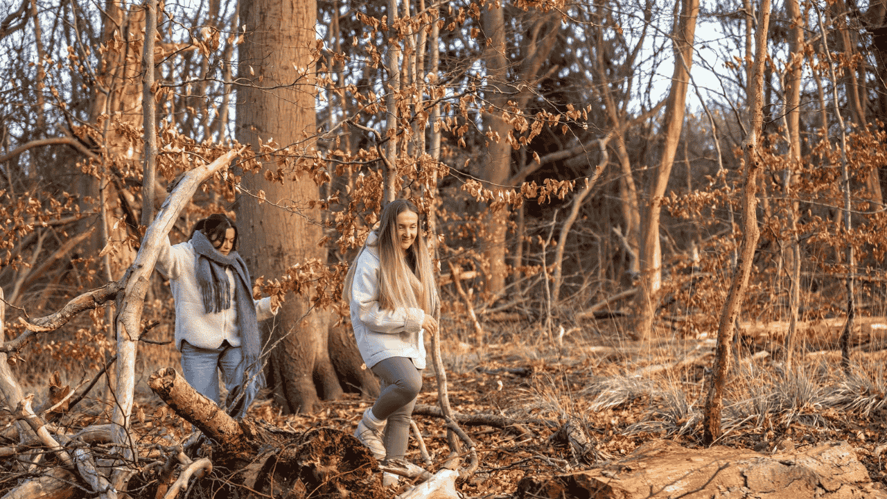 The Importance of Forest Conservation in Combating Climate Change